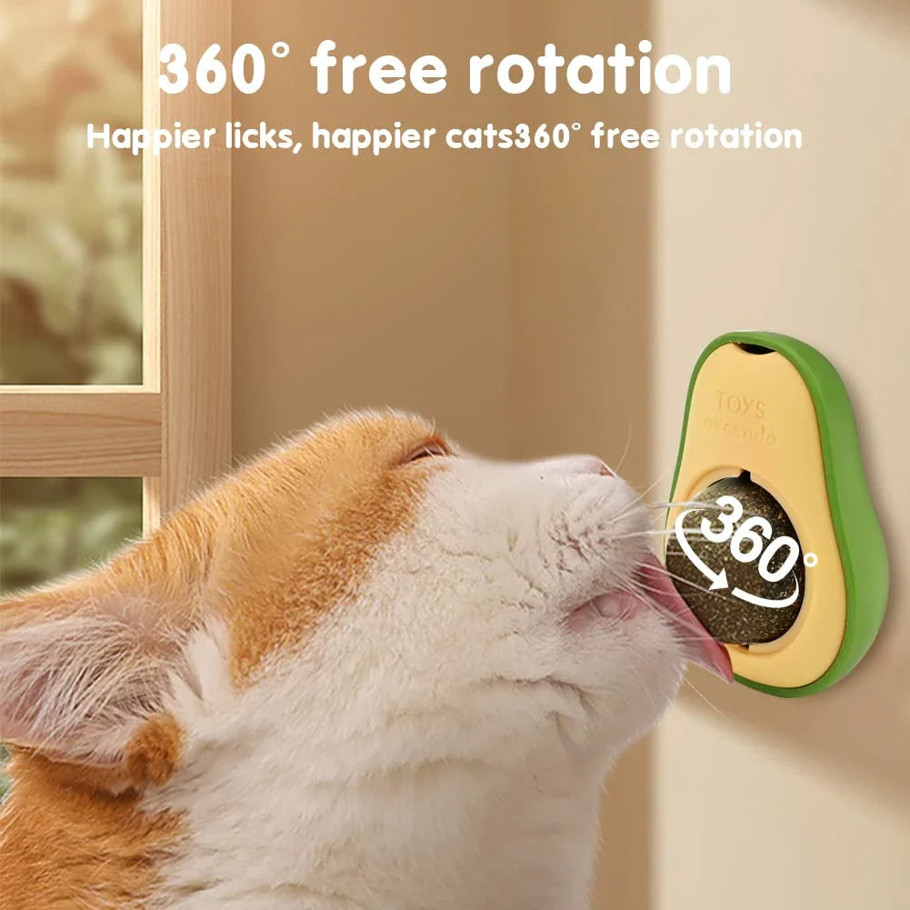 Avocado Feline Fiesta