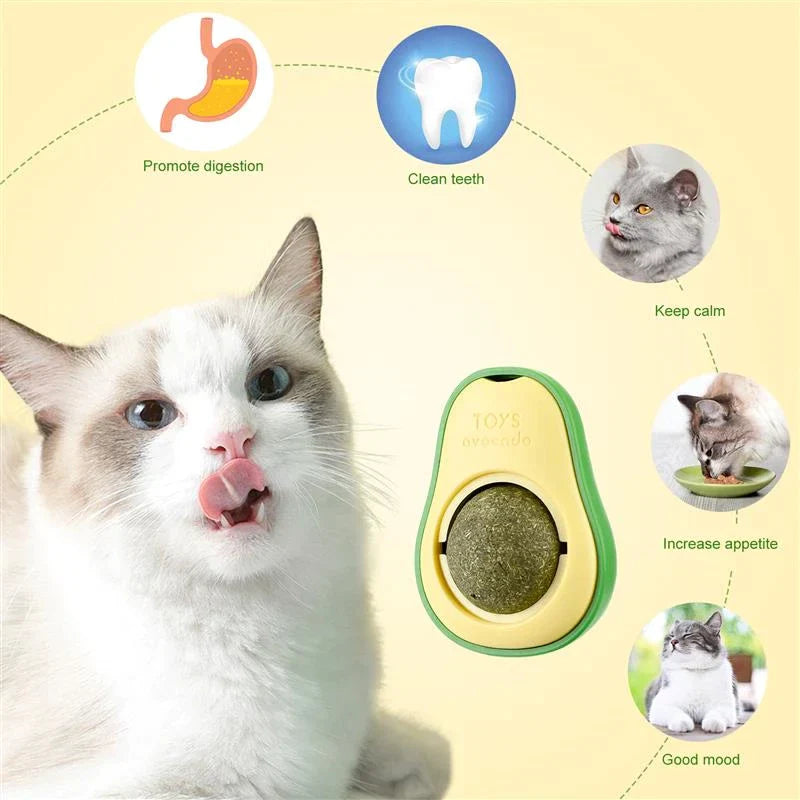 Avocado Feline Fiesta