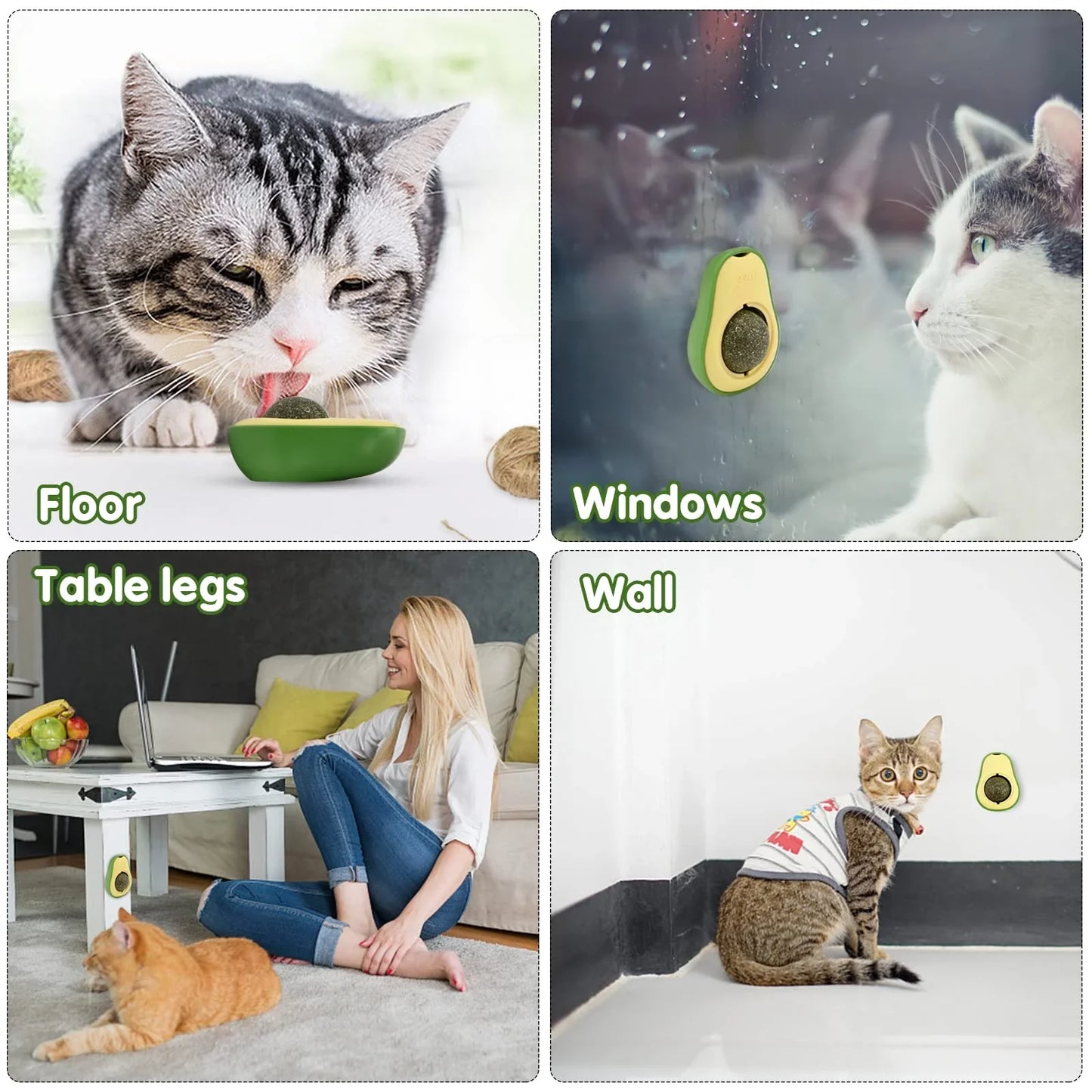Avocado Feline Fiesta