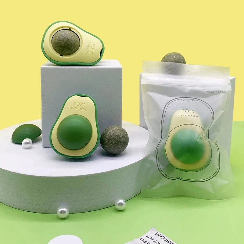Avocado Feline Fiesta