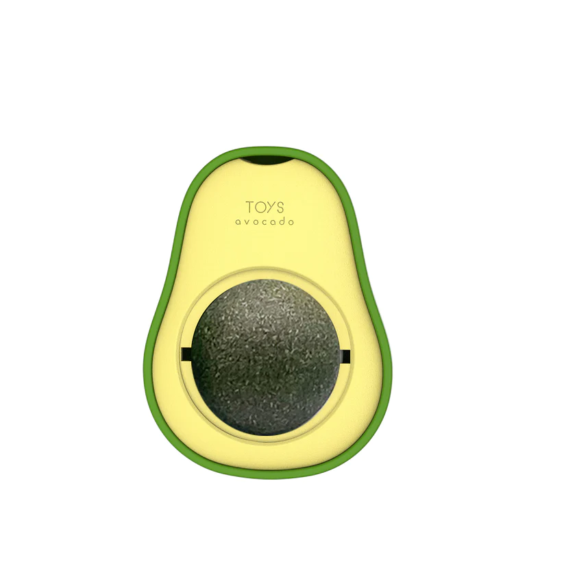 Avocado Feline Fiesta