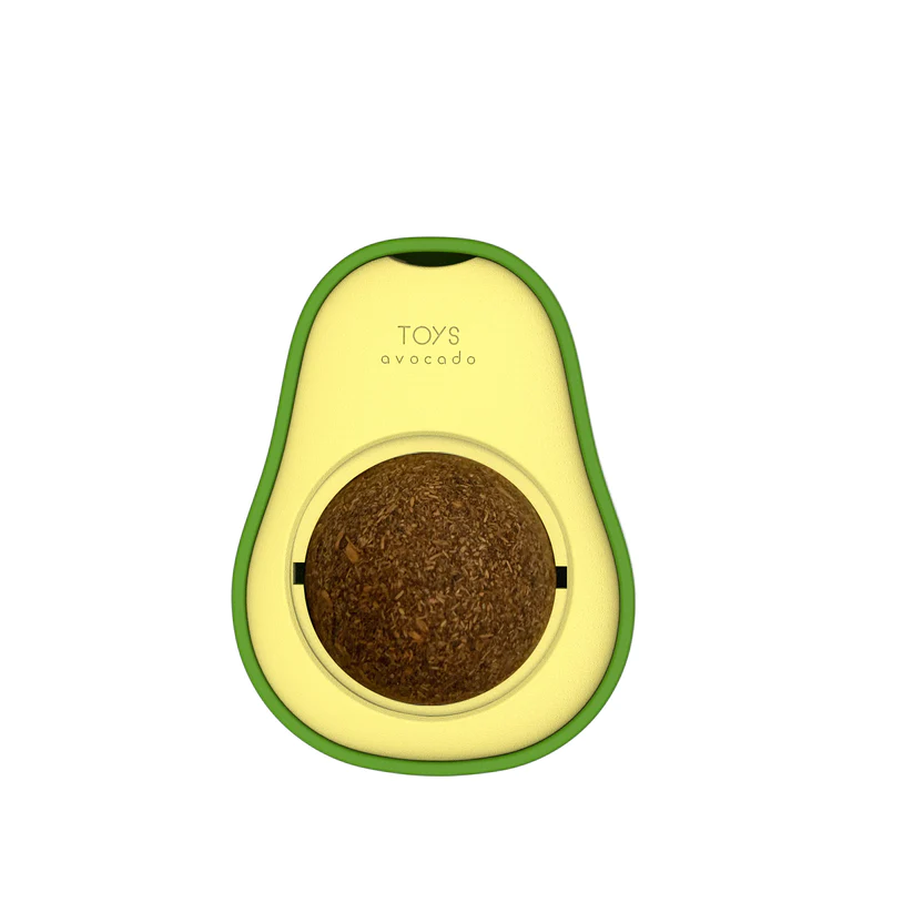 Avocado Feline Fiesta