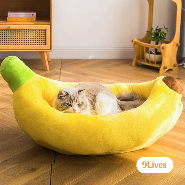 Banana Bed