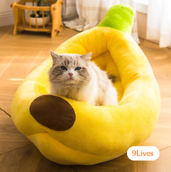 Banana Bed