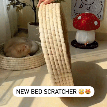 Cat Scratching Bed