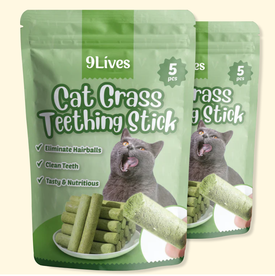 Cat Grass Teething Stick