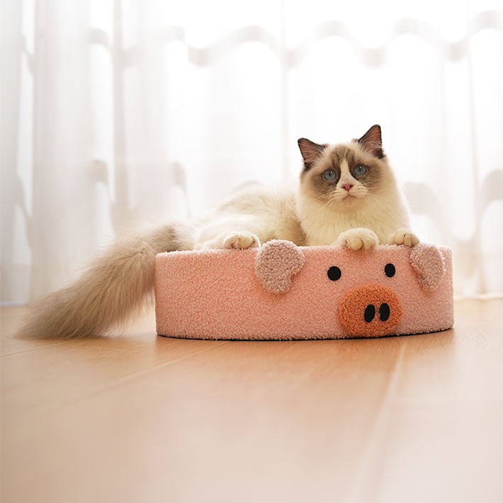Cozy Scratcher