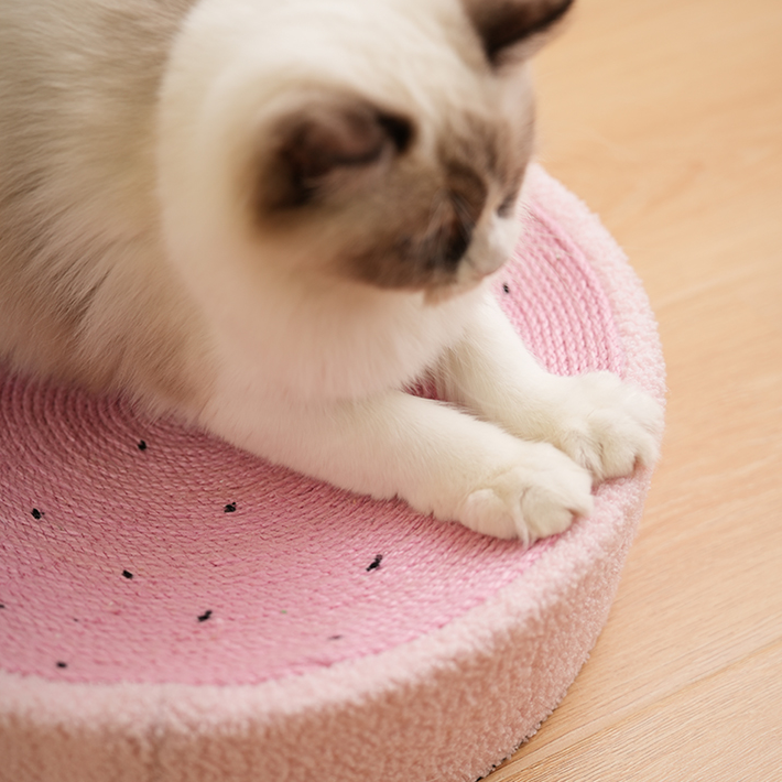 Cozy Scratcher