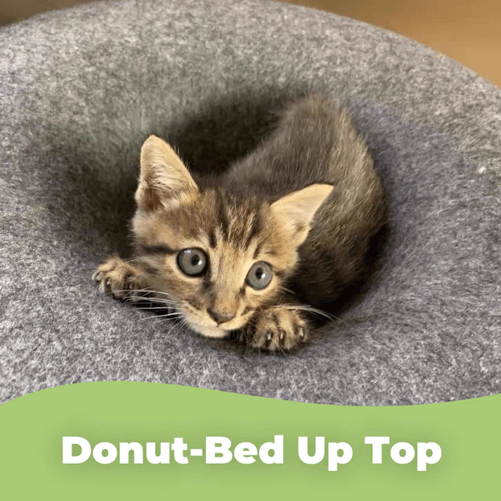 Donut Bed