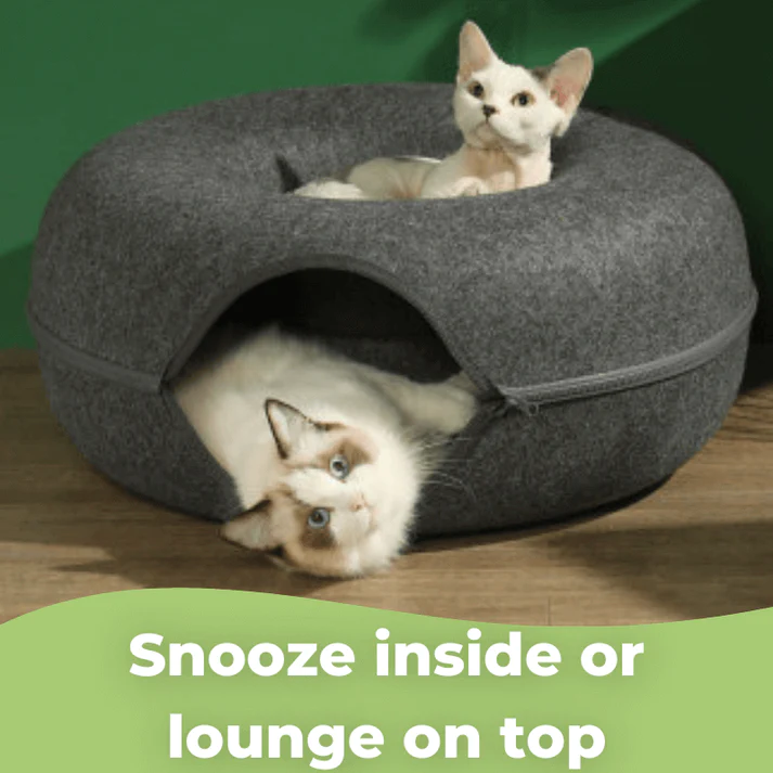 Donut Bed