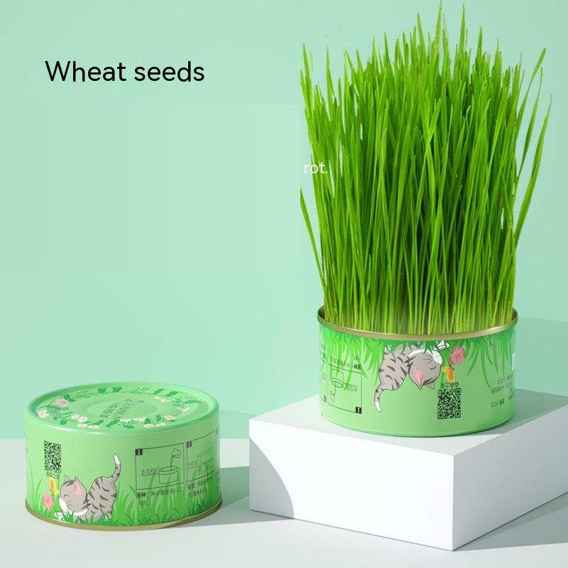 9Lives' Cat Grass Kit