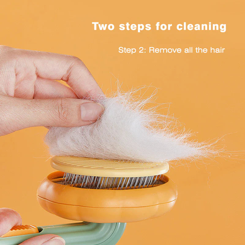 Pumpkin Brush