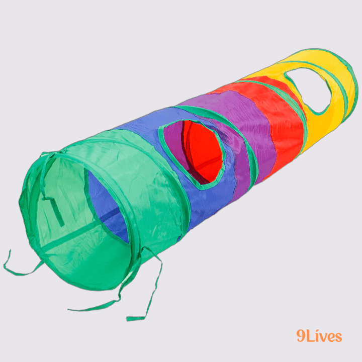 Rainbow Tunnel