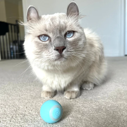 Smart Ball