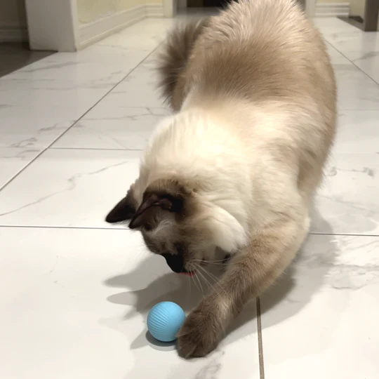 Smart Ball
