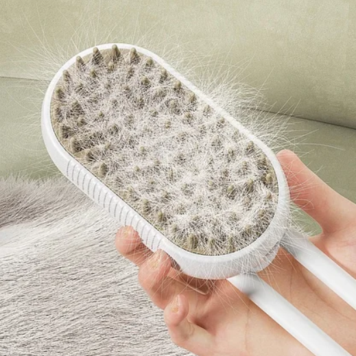 Steamy Brush