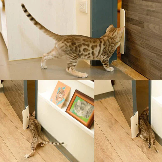 Auto Door Opener