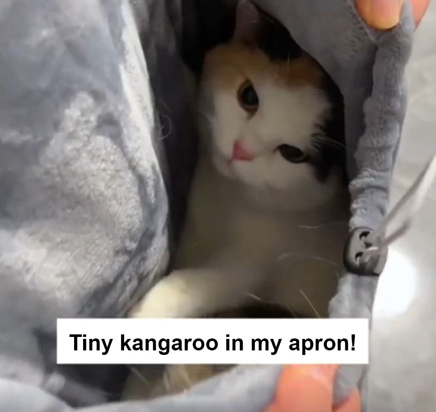 Cat Apron