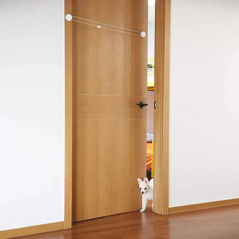 Auto Door Opener