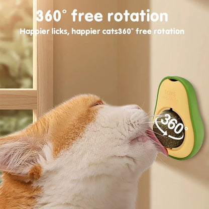 Avocado Feline Fiesta