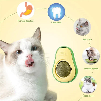 Avocado Feline Fiesta