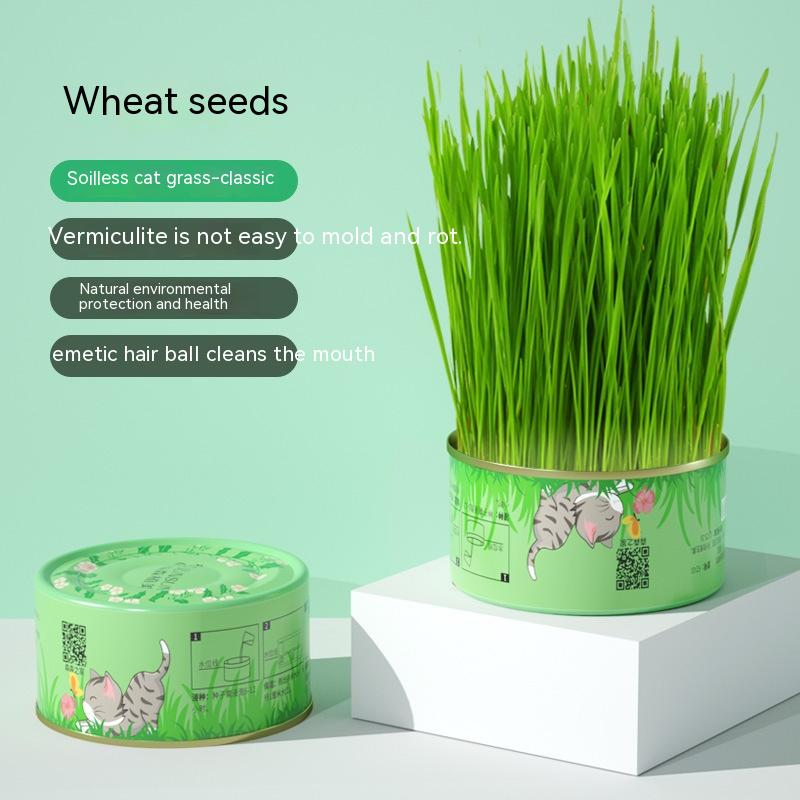 Cat Grass Kit