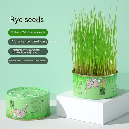 Cat Grass Kit