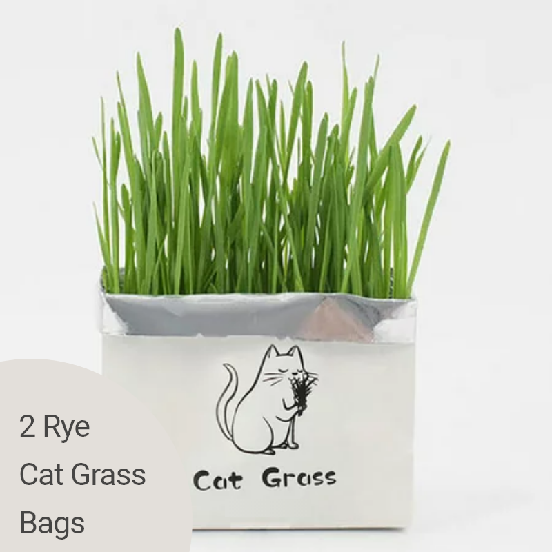 9Lives' Cat Grass Kit