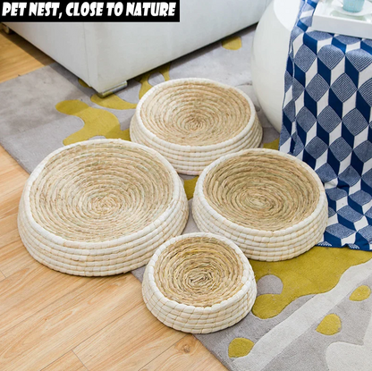 Cat Scratching Bed