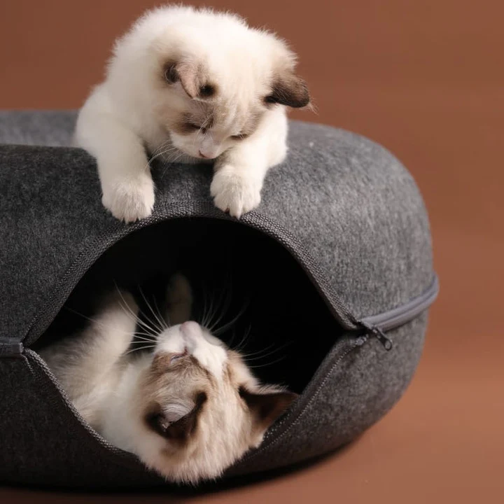 Donut Bed