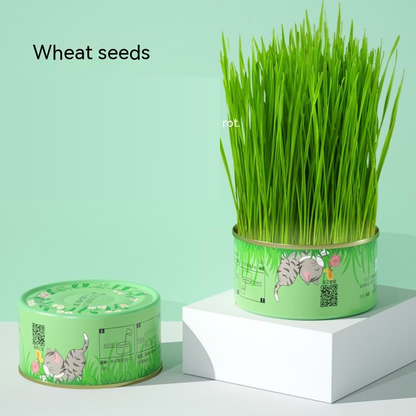 9Lives' Cat Grass Kit