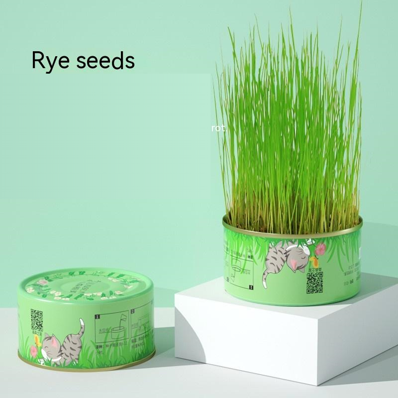 9Lives' Cat Grass Kit