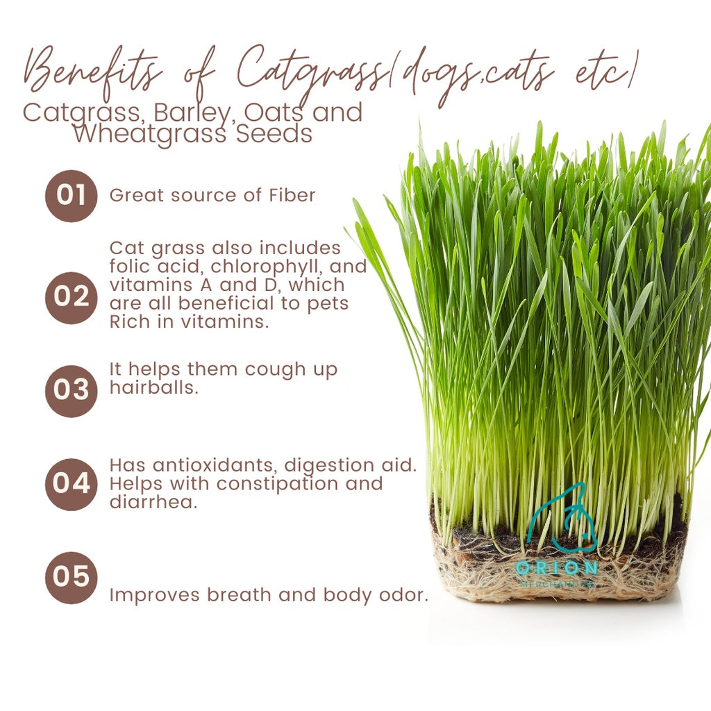 9Lives' Cat Grass Kit